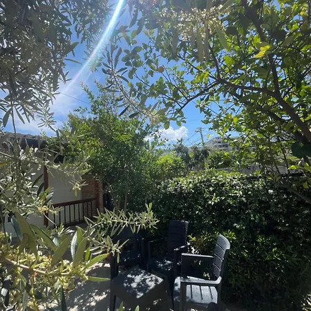 Casa de Férias Dia 2